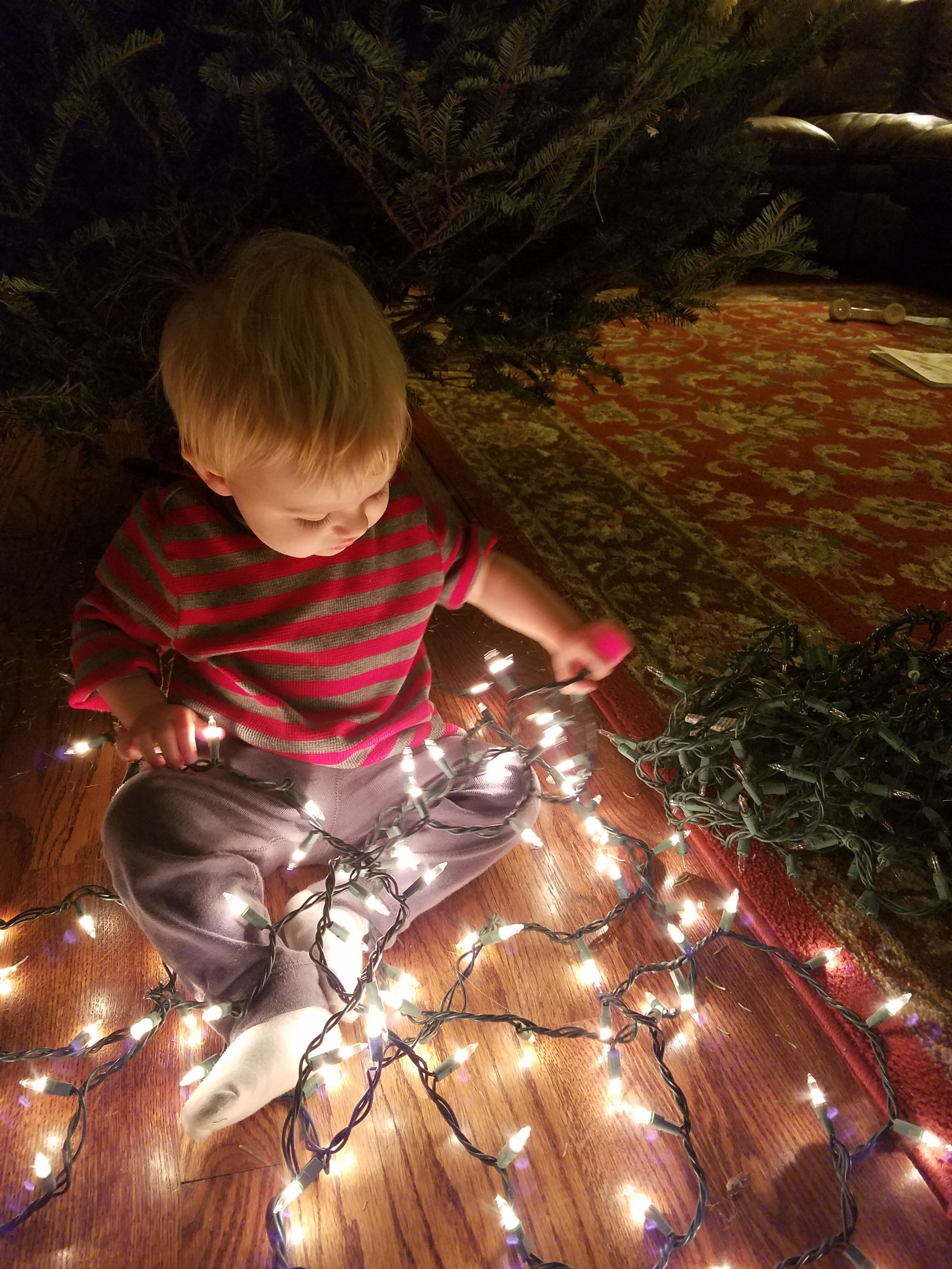 Tangled Up